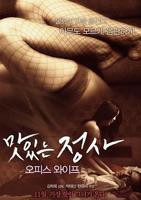 韩剧《办公室恋史》电视剧在线观看